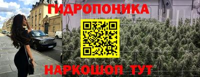 шишки Волжск