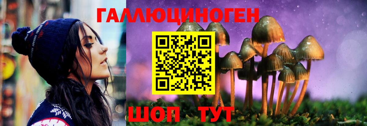 Псилоцибиновые грибы Psilocybine cubensis Петровск